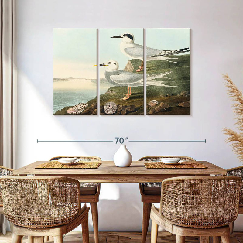 Brampt Havell's Tern And Trudeau's Tern, 36" H x 57" W