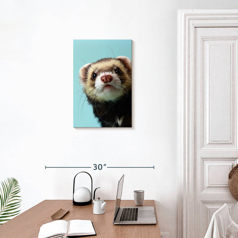Furet sournois, H 24 po x l 16 po