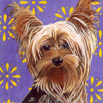 Dlynns Dogs - Ringo by Dlynn Roll - Wrapped Canvas Painting