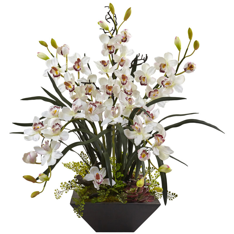 White Cymbidium Orchid Arrangement in Black Vase