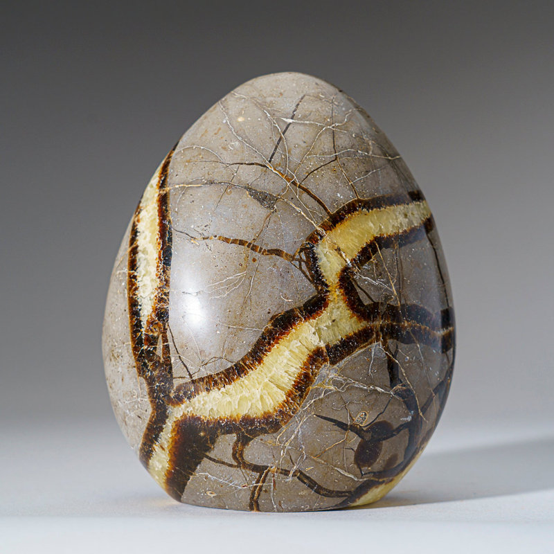 Polished Septarian Freeform From Madagascar (2.5 Lbs)