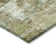 Machine Washable Indoor/Outdoor Efimenko ACN2300 Abstract Rug