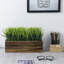 25 cm Artificial Grass in Planter