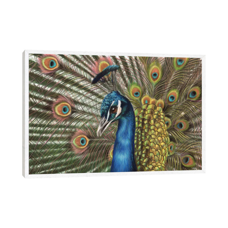 Peacock by Richard Macwee - Gallery-Wrapped Canvas Giclée on Canvas, White Framed, 101.6 cm H x 66.04 cm W