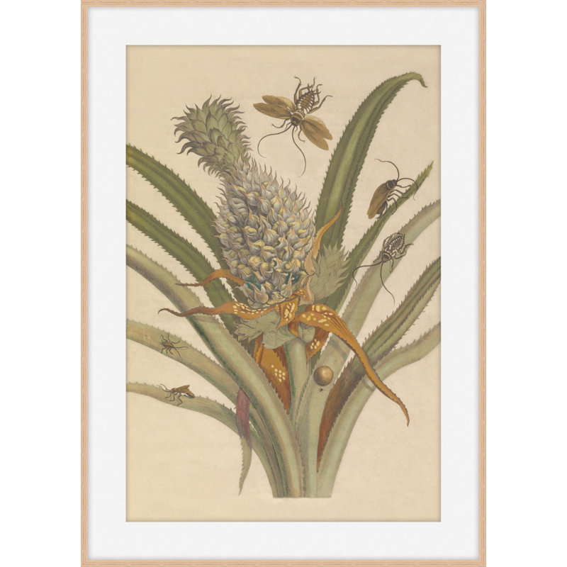 Enticing Bud 1 Print, 30.54" H x 23.54" W