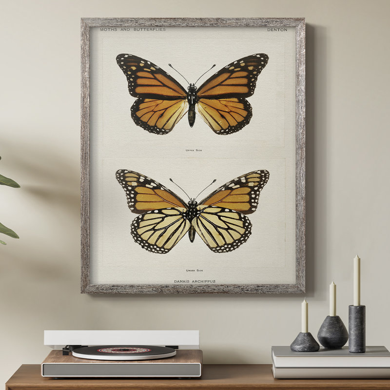 Vintage Animal Print XXIII Framed Print - Solid Wood, 11" H x 9" W