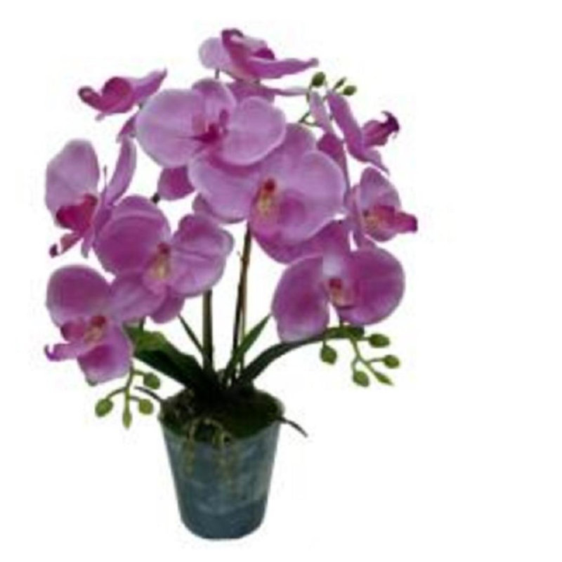 Plante artificielle orchidée phalaenopsis, H 22,25 po x l 16 po x P 16 po, Rose profond