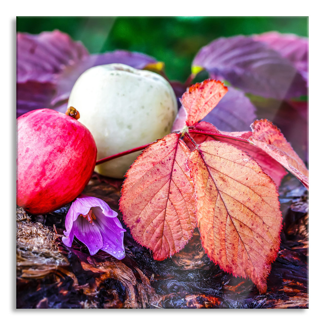 Glasbild Herbst Äpfel und Blätter