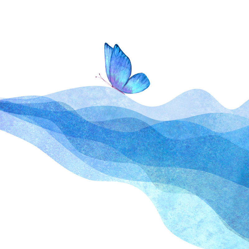 Butterfly - Wrapped Canvas Print, 91cm H x 91cm W x 3.8cm D