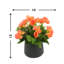 Begonia Floral Arrangement-1521383731-1560274431