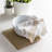 Cannady Dish Cloth-29604588