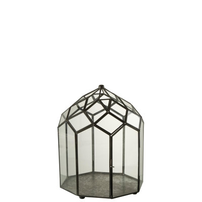 Aalexis Metal Terrarium