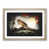 Oak Framed selected