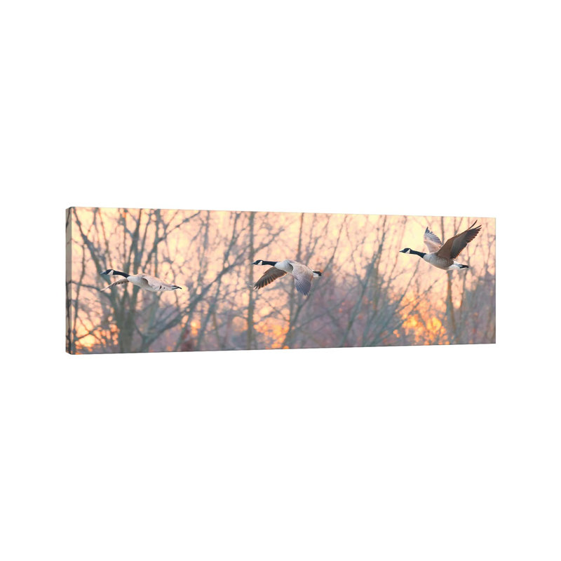 Canadian Trio by David Gardiner - Wrapped Canvas Panoramic Print