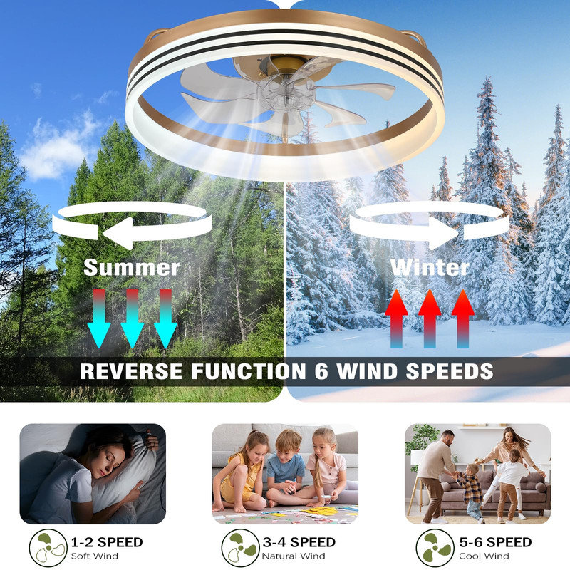 Ventilateurs de plafond avec lumières et télécommande 20 po avec ventilateur à DEL à intensité variable Fandelier