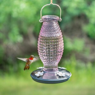 Nectar Hummingbird Feeder (Set of 2)