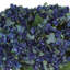 White, Blue And Green Hydrangea Bouquet-1603759549
