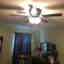 Customer photo 1 of 1