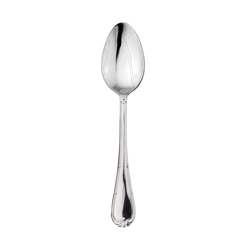 Raffaello Stainless Steel Serving Spoon