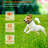 Edge Collections Dog Fence Collar