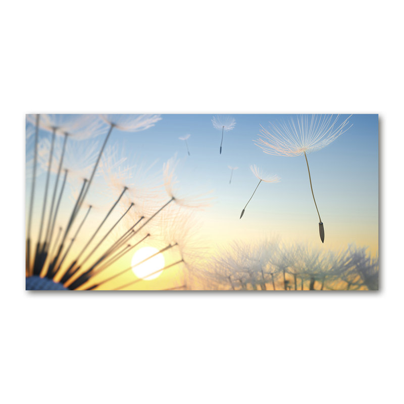 Dandelion Seeds - Wrapped Canvas Print