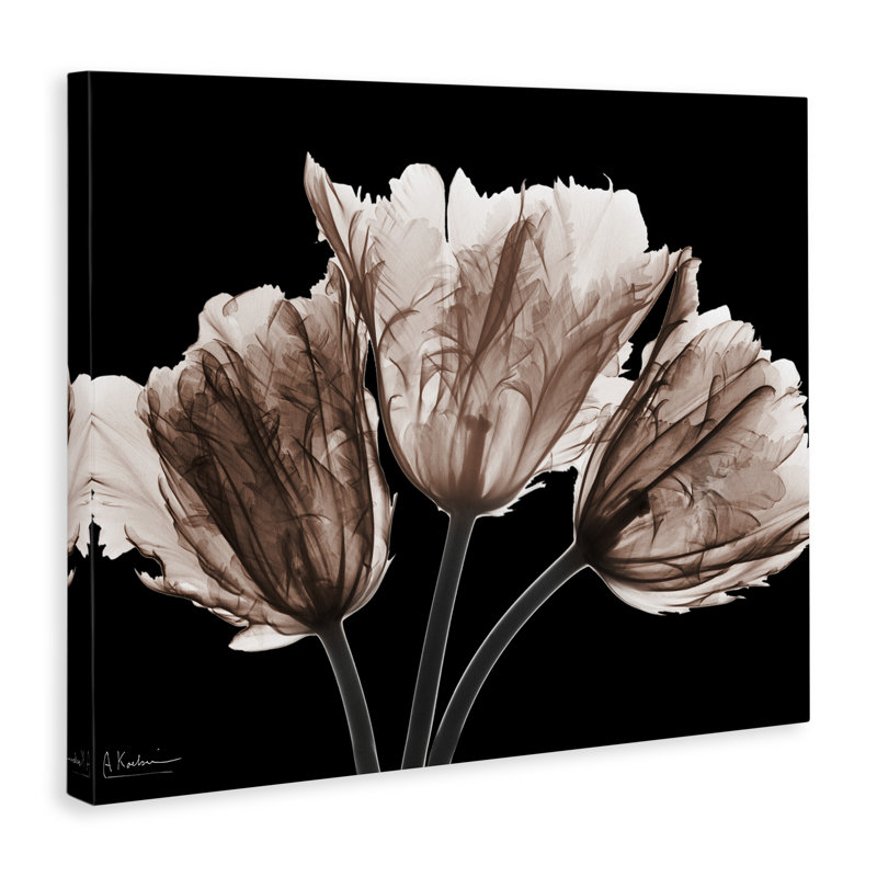 «Crisp Tulips on Black», art mural par Albert Koetsier, H 36 po x l 48 po