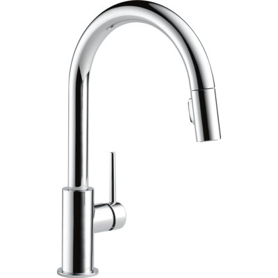 Trinsic Pull-Down Kitchen Faucet