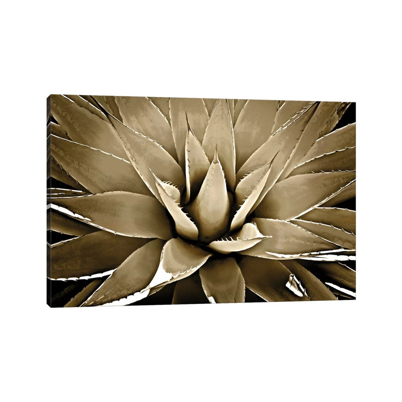 Taupe Succulent III by Mia Jensen - Wrapped Canvas Painting, 20.32 cm H x 30.48 cm W