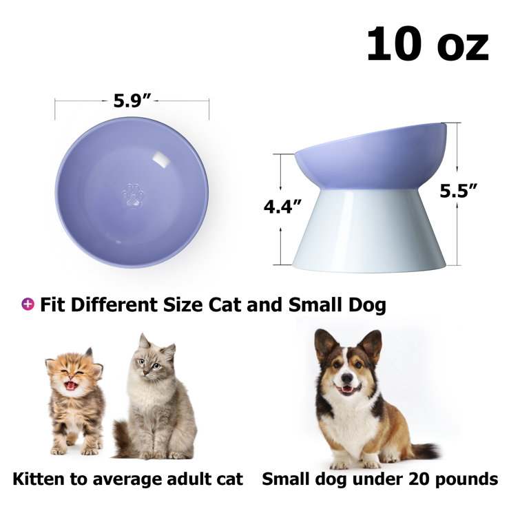 https://assets.wfcdn.com/im/61353290/resize-h755-w755%5Ecompr-r85/2494/249422680/Elevated+Cat+Bowl.jpg