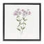 Cadre flottant Phlox Botanical, design par Cindy Jacobs-1742503504-1742503505