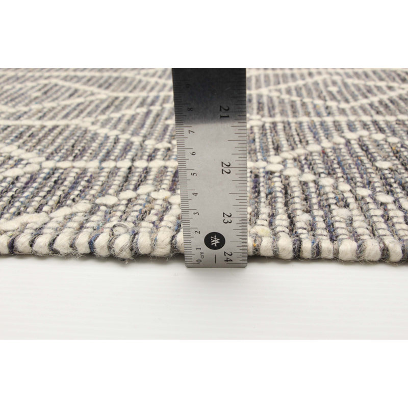 Dejion Performance Hand Braided Wool Rug