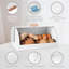 Food Storage Container-1693241420