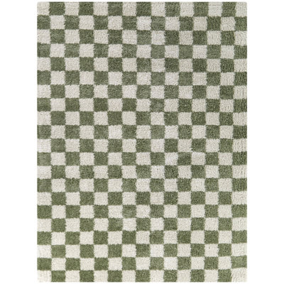 Chelsy Checkered Indoor Rug