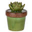 Figurine en céramique Echeveria-1695784436