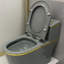 Dual-Flush Elongated One-Piece Toilet (Seat Included)