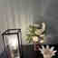 Customer photo 3 of 4