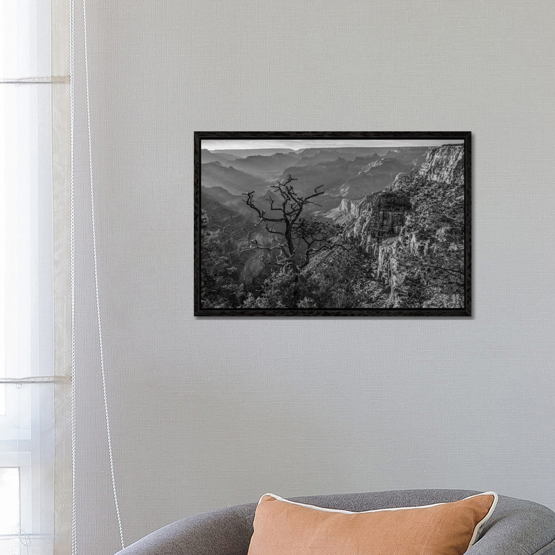 South Rim, Grand Canyon, Arizona von Tim Fitzharris - Gallery-Wrapped Canvas Giclée