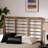 Truett mid-century modern Queen Size Headboard with Rustic Oak, 50.6'' H X 62.5'' W X 0.58'' D-1182830843