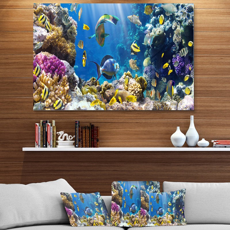 «Fish in Coral Reef», impression sur toile, H 12 po x l 20 po, Métal métal