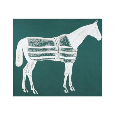 Jeté Thoroughbred