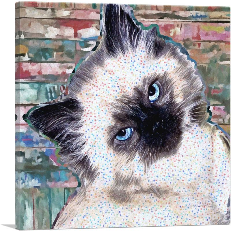 Himalayan Cat Breed Kitten - Reproduction d'art sur toile tendue, H 26 po x l 26 po x P 0,75 po