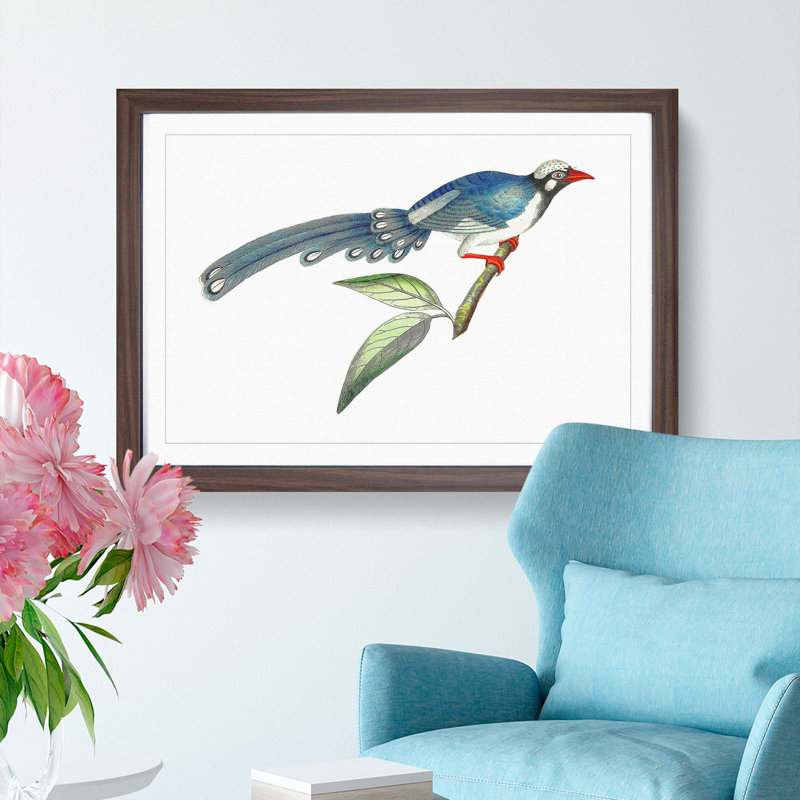 Chinese Cuckoo by George Shaw - Picture Frame Painting Print, 36cm H x 48cm W x 2cm D, Walnut Framed
