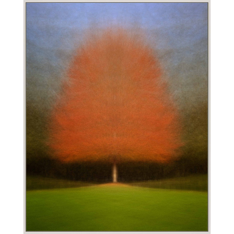 Persistance par Laura Zimmerman - Art mural encadré, Toile avec cadre blanc, H 38 po x l 30 po
