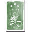 «Green Botanical I» par Kelly Donovan - Peinture-1999068269-1993790241