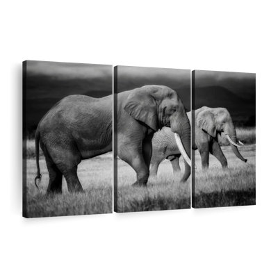 «Grazing Kenyan Elephants» sur
