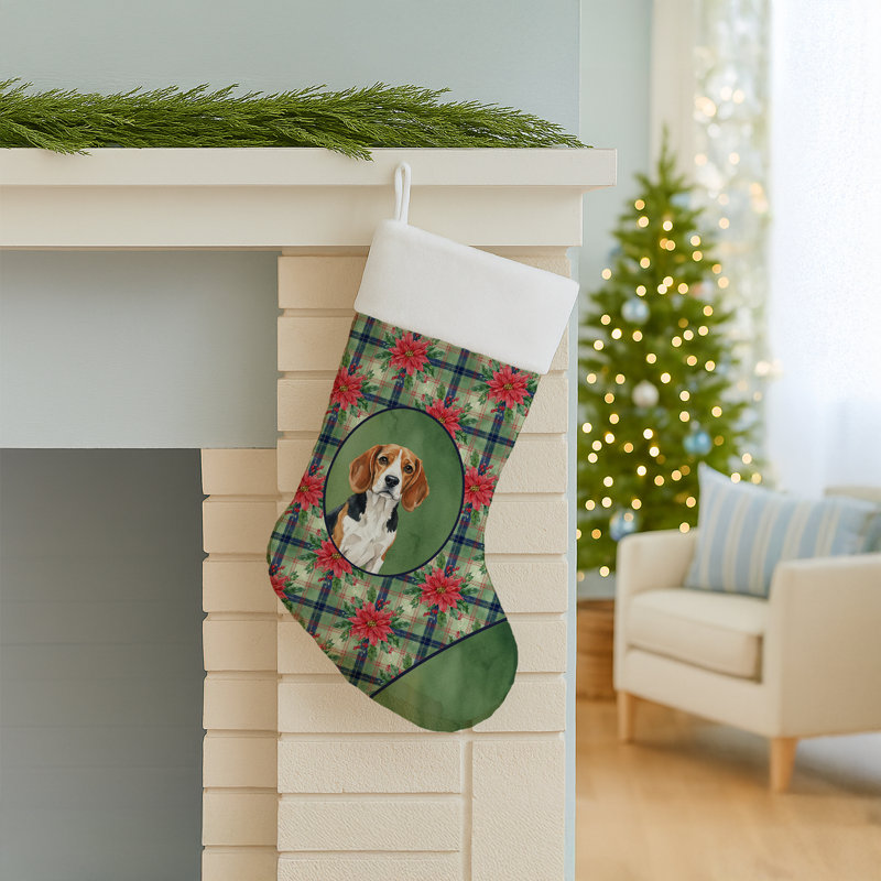Chaussette de Noël Beagle Christmas PoinsettIas, Tricolore / blanc