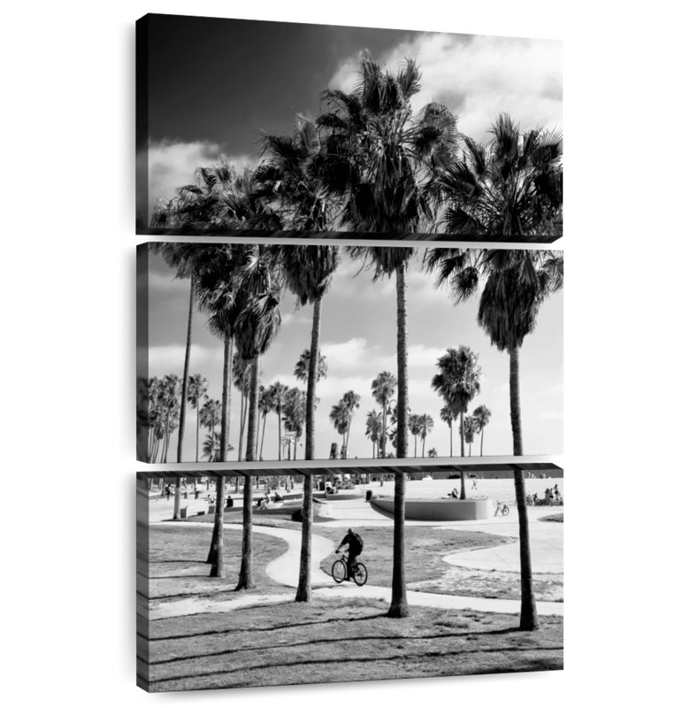 Patinoire Sirci Venice Beach, H 65 po x l 42 po