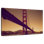 Lilie Sundown At Golden Gate