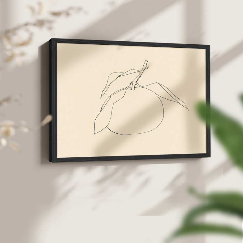 «Citrus Contour I», reproduction encadrée, Noir, noir, noir, noir, H 22 po x l 28 po