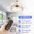 Diab 36'' Ceiling Fan with LED Lights-768260757